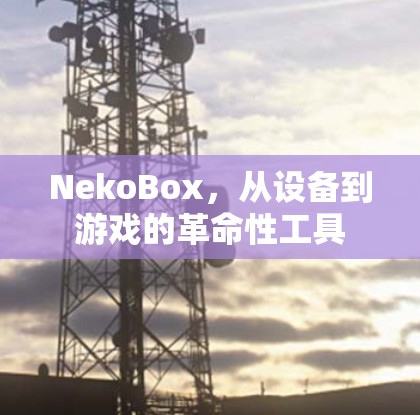 NekoBox,从设备到游戏的革命性工具 NekoBox,从设备到游戏的革命性工具
