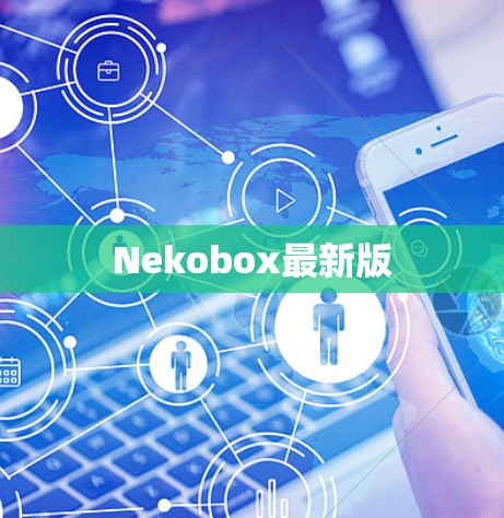Nekobox最新版 Nekobox最新版