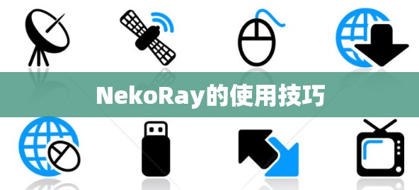 NekoRay的使用技巧