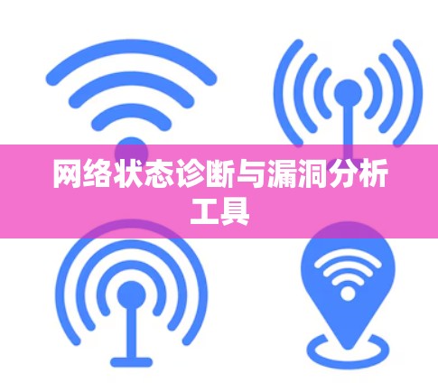 网络状态诊断与漏洞分析工具
