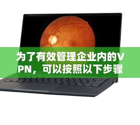 为了有效管理企业内的VPN，可以按照以下步骤进行