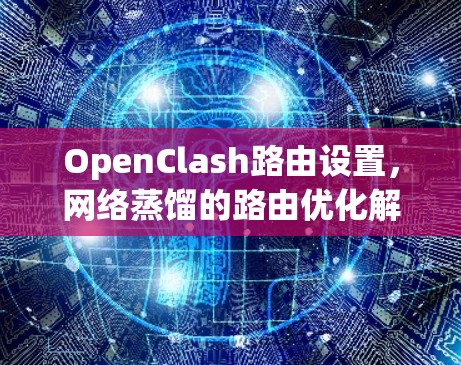 OpenClash路由设置，网络蒸馏的路由优化解决方案