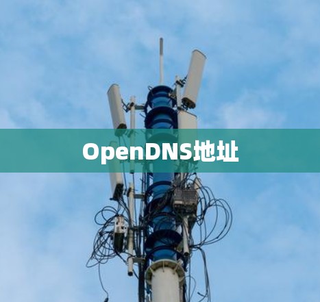 OpenDNS地址
