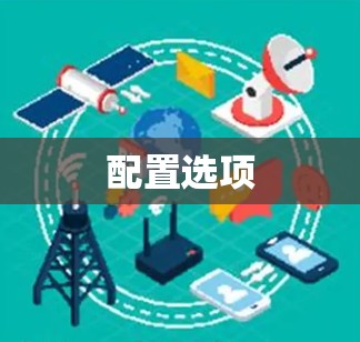 配置选项