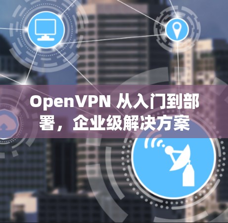 OpenVPN 从入门到部署,企业级解决方案 OpenVPN 从入门到部署,企业级解决方案