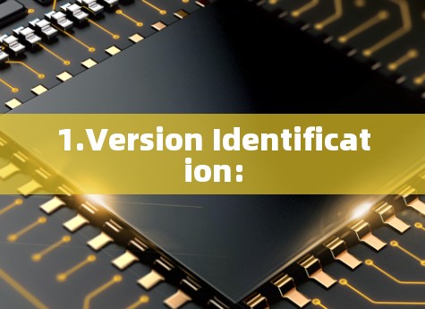 1.Version Identification:
