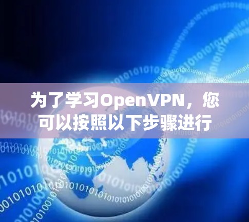 为了学习OpenVPN，您可以按照以下步骤进行