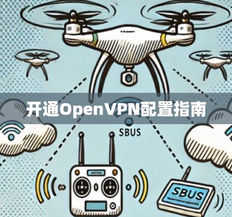 开通OpenVPN配置指南 开通OpenVPN配置指南