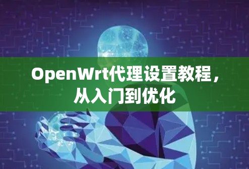 OpenWrt代理设置教程，从入门到优化