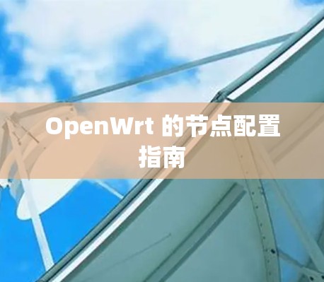 OpenWrt 的节点配置指南