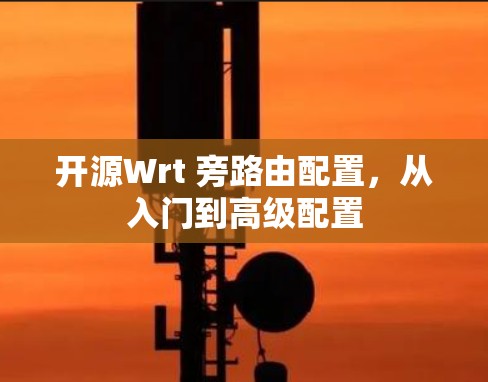 开源Wrt 旁路由配置，从入门到高级配置