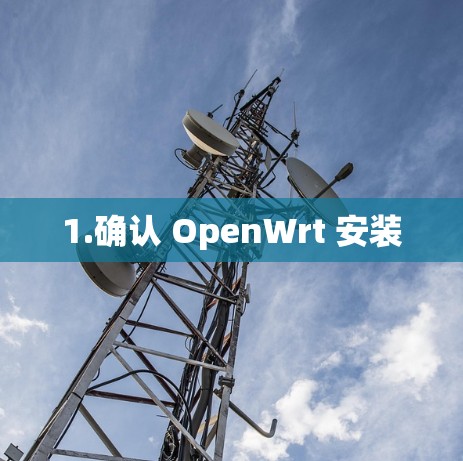 1.确认 OpenWrt 安装