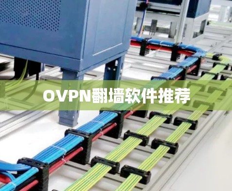 OVPN翻墙软件推荐