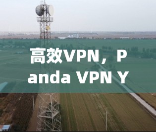 高效VPN,Panda VPN Your Next Step 高效VPN,Panda VPN Your Next Step