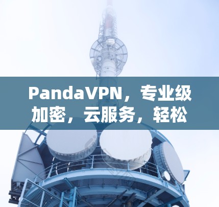 PandaVPN，专业级加密，云服务，轻松连接