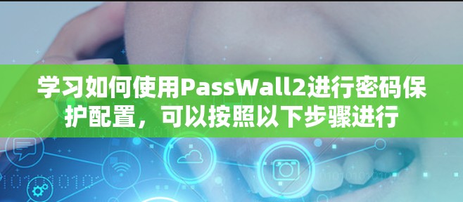 学习如何使用PassWall2进行密码保护配置，可以按照以下步骤进行