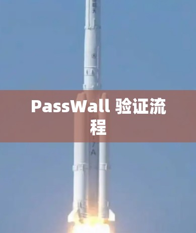 PassWall 验证流程
