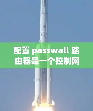 配置 passwall 路由器是一个控制网络流量的关键工具，用于阻止某些设备访问特定的网络部分或过滤特定类型的流量。以下是详细的配置步骤