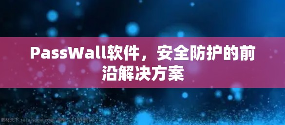 PassWall软件，安全防护的前沿解决方案