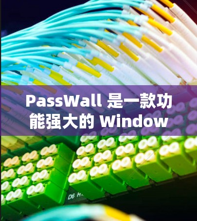 PassWall 是一款功能强大的 Windows 安全软件，旨在保护你的计算机免受恶意软件和病毒的威胁。以下是 PassWall 的一些基本使用方法