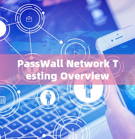 PassWall Network Testing Overview