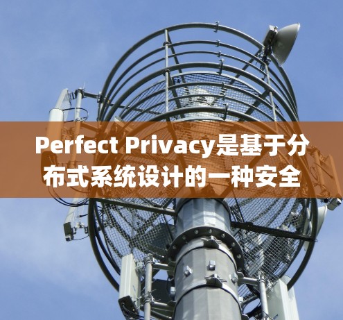 Perfect Privacy是基于分布式系统设计的一种安全存储和共享平台，主要用于数据存储和管理，旨在提供高度的安全性和可扩展性。在节点管理方面，它通过以下步骤进行操作