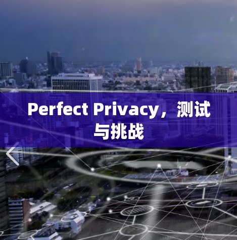 Perfect Privacy，测试与挑战