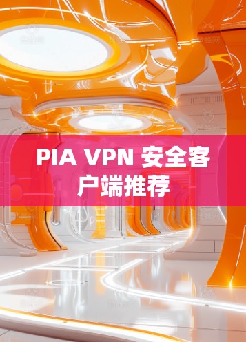 PIA VPN 安全客户端推荐