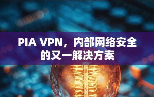 PIA VPN，内部网络安全的又一解决方案