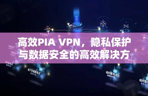 高效PIA VPN,隐私保护与数据安全的高效解决方案 高效PIA VPN,隐私保护与数据安全的高效解决方案