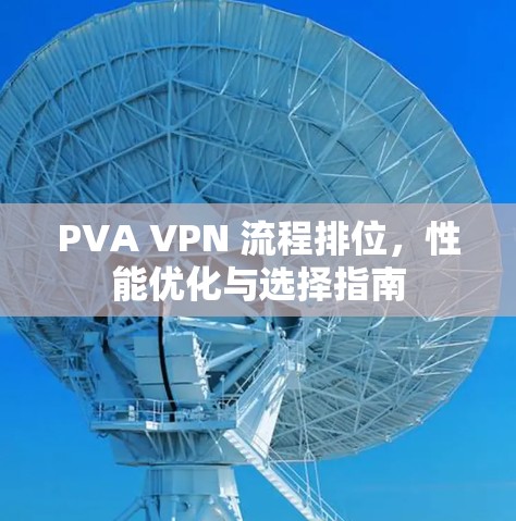 PVA VPN 流程排位，性能优化与选择指南