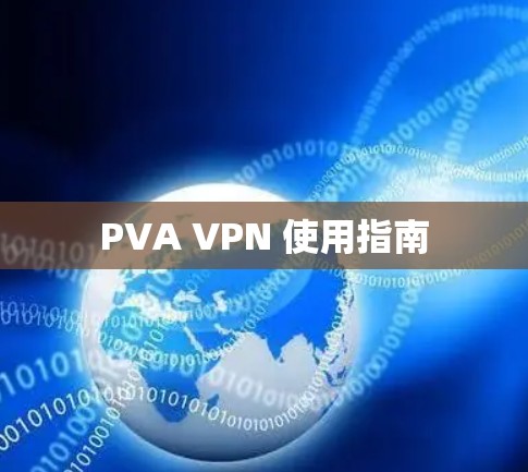 PVA VPN 使用指南 PVA VPN 使用指南
