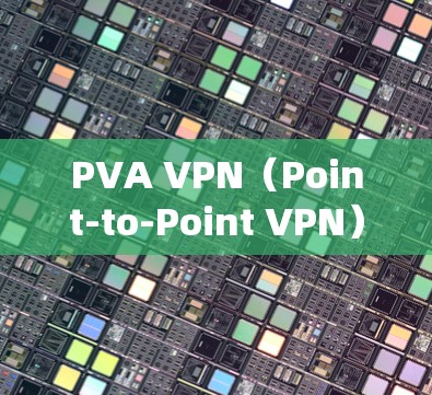 PVA VPN（Point-to-Point VPN）主要用于VPN中的核心节点，这些节点的性能直接影响到整个VPN系统的稳定性、可靠性和数据传输的效率。以下是PVA VPN中的主要节点及其排位
