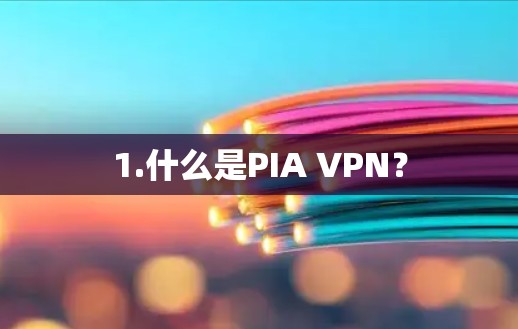 1.什么是PIA VPN? 1.什么是PIA VPN?