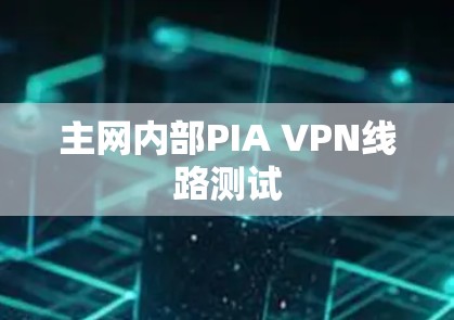 主网内部PIA VPN线路测试