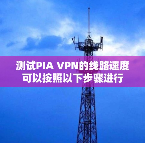 测试PIA VPN的线路速度可以按照以下步骤进行