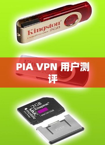 PIA VPN 用户测评