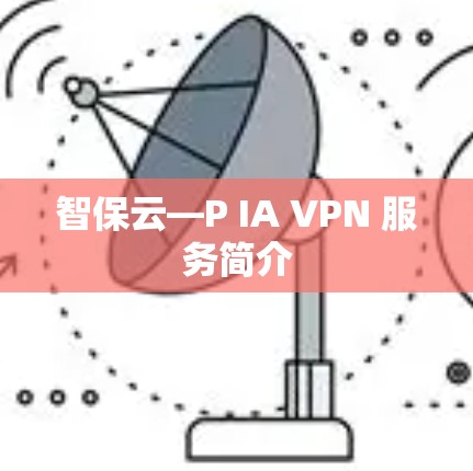 智保云—P IA VPN 服务简介