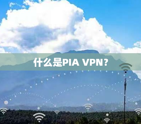 什么是PIA VPN？