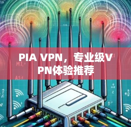 PIA VPN,专业级VPN体验推荐 PIA VPN,专业级VPN体验推荐