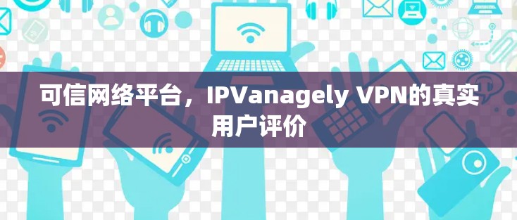 可信网络平台，IPVanagely VPN的真实用户评价