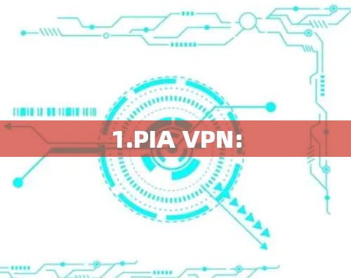 1.PIA VPN: