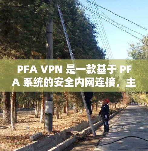 PFA VPN 是一款基于 PFA 系统的安全内网连接，主要面向移动设备，允许用户在多个网络之间进行高速、安全的访问。如果你正在寻找最新的 PFA VPN 工具，以下是一些推荐