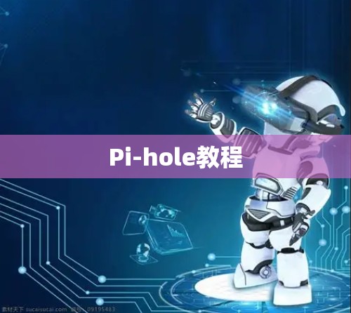 Pi-hole教程 Pi-hole教程