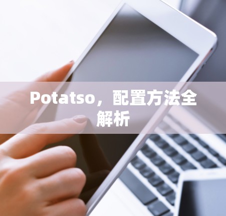 Potatso，配置方法全解析