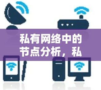 私有网络中的节点分析,私有网络VPN的性能与挑战 私有网络中的节点分析,私有网络VPN的性能与挑战