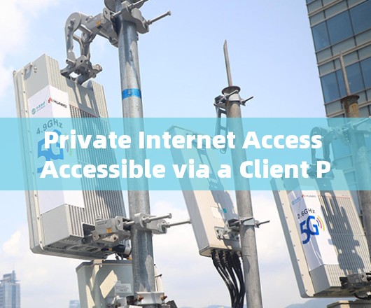 Private Internet Access Accessible via a Client PAAC) Private Internet Access Accessible via a Client PAAC)