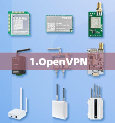 1.OpenVPN 1.OpenVPN