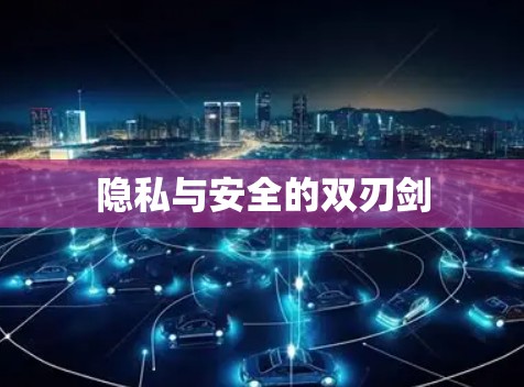 隐私与安全的双刃剑 隐私与安全的双刃剑