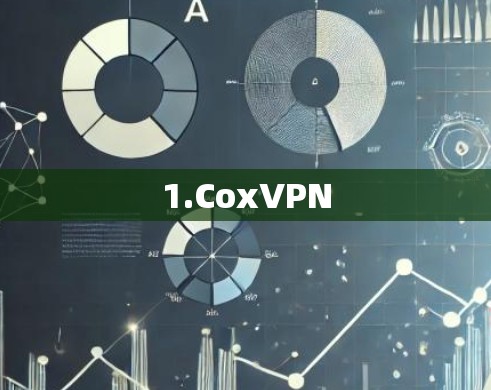 1.CoxVPN 1.CoxVPN